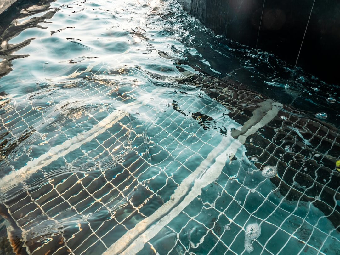Florida Climate and Pool Repair: Why Timing Matters Image